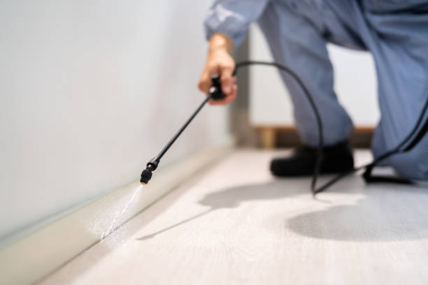 Licensed Termite Control service in Huntsville, AL - Nex Pest Control