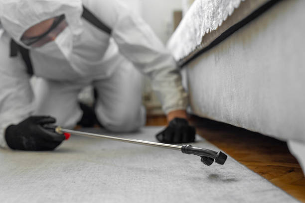 Professional Termite Control technician working in Huntsville, AL