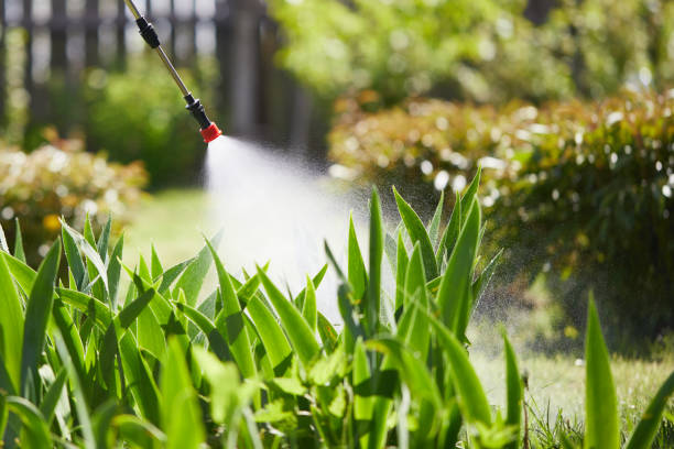 24/7 Emergency Termite Control experts in Huntsville, AL