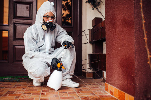 Reliable Termite Control contractor in Huntsville, AL by Nex Pest Control