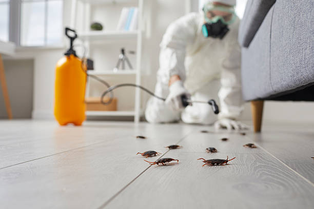 Trusted Rodent Control service in Huntsville, AL - Nex Pest Control