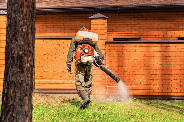 Trusted Termite Control service in Huntsville, AL - Nex Pest Control